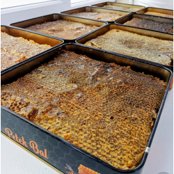 2 kg Kutuda Polenli bal ( 1.750-2 kg arası)