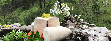 Kargı Tulum Peyniri Yapımına Nasıl Başladık ?