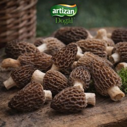 Kuzu Göbeği Mantarı 500 gr 